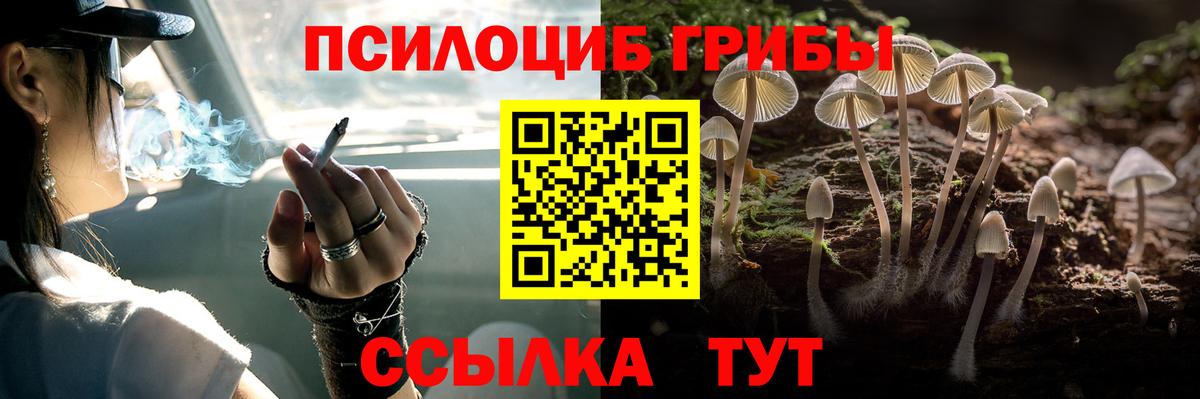 Псилоцибиновые грибы Psilocybe Кстово